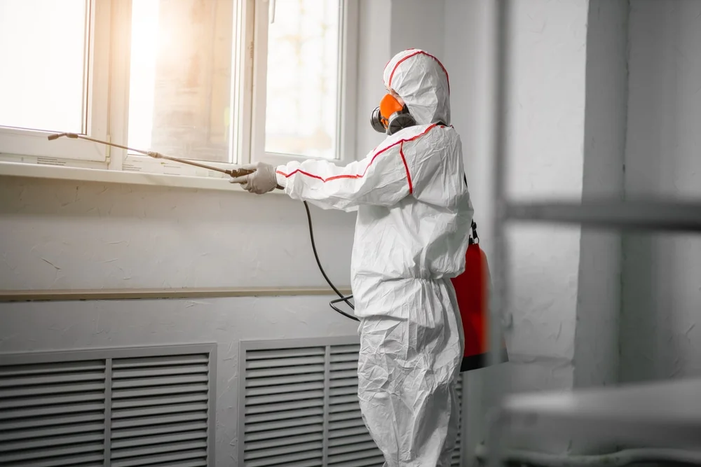 Professional mold remediation services in Luxora, AR